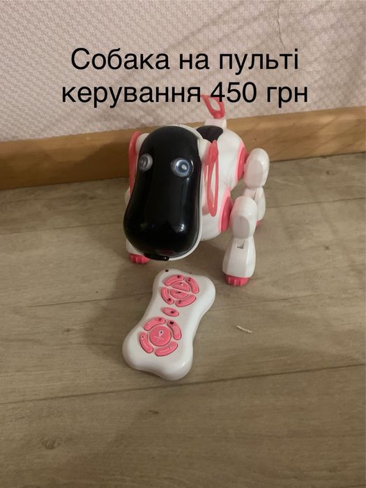 Собака на пульті інтерактивна