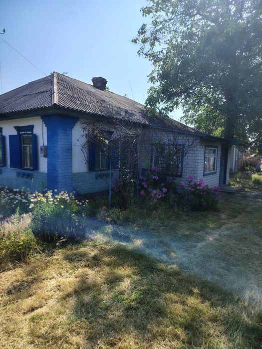 Продається будинок в с.Тимченки Черкаської обл .