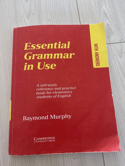 essential grammar in use