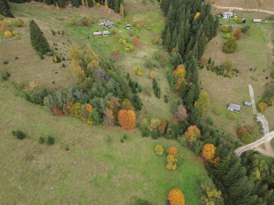 З двох сторін потічки. З трьох сторін дерева. Гарний заїзд