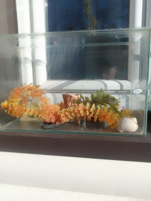 Акваріум для рибок 2 шт