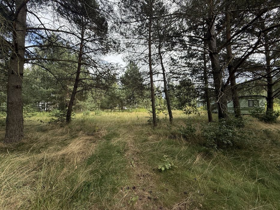 działka 10ar UZBROJONA z domkiem holenderskim obok Torunia