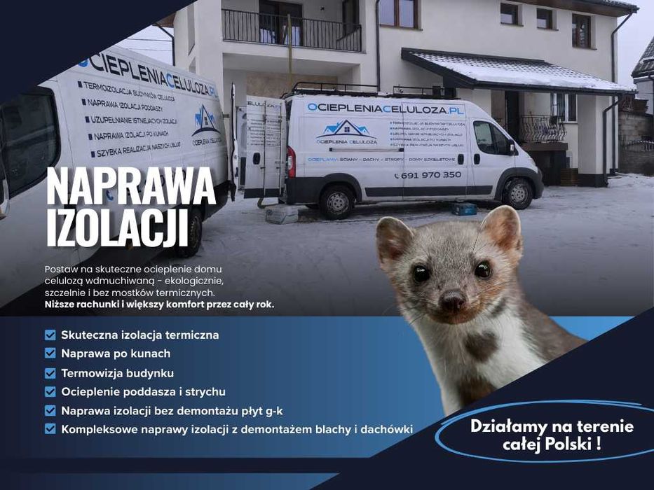 Naprawa dachu po kunie | Celuloza | Ocieplenia l Termowizja l Izolacje
