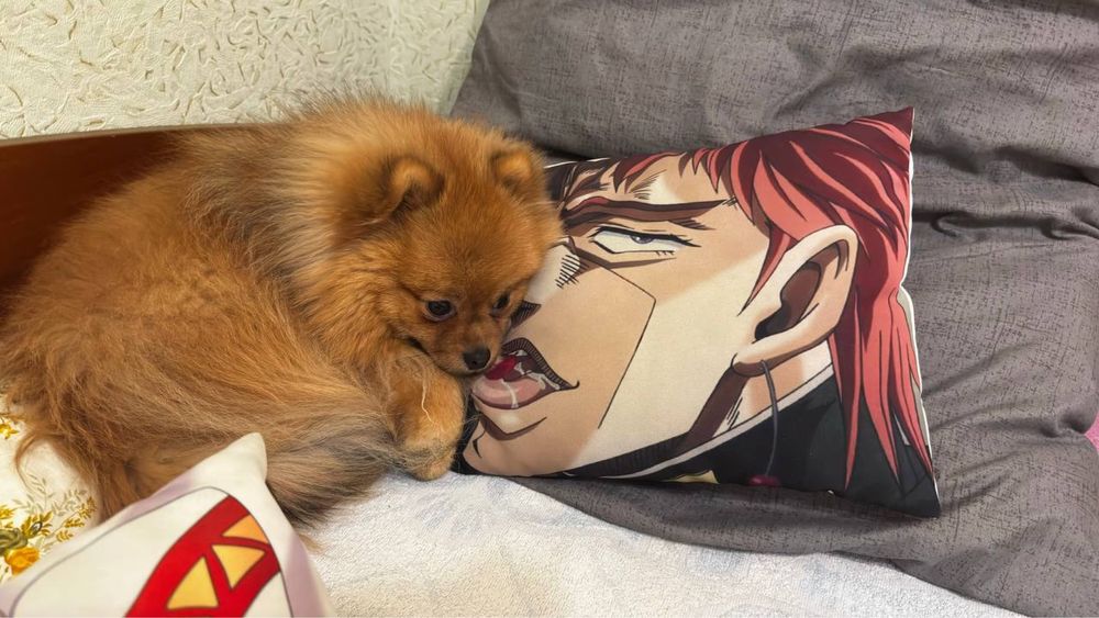 Данте шукає самочку.