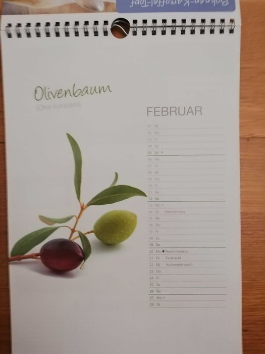 Calendário Parede Alemães