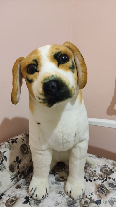 Собака велика м'яка іграшка