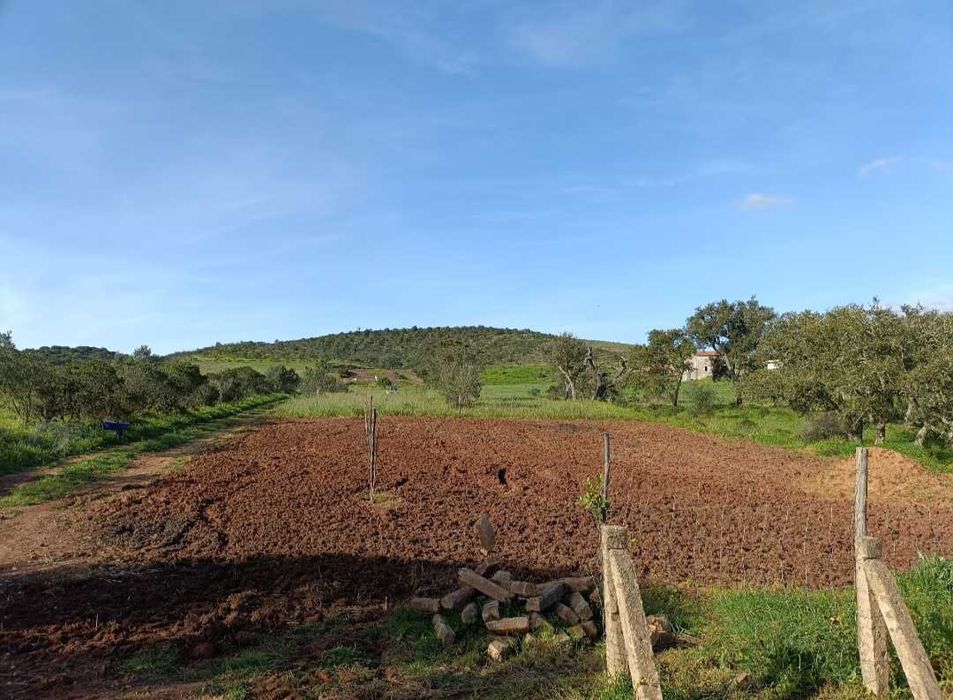 Terreno rústico em Lagos, Bensafrim com 1 hatare, com furo de água