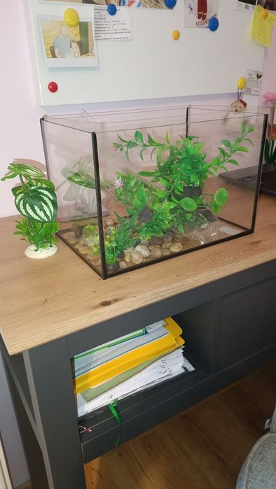 Małe akwarium plus dodatki wymiary 30x20 cm