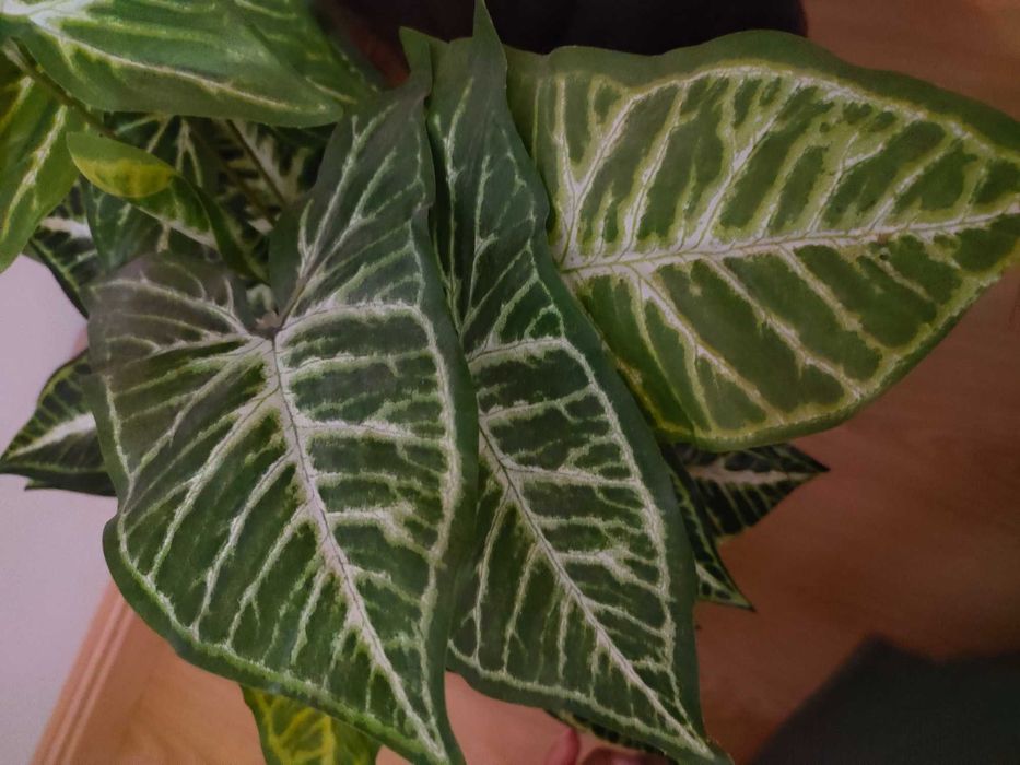 Planta falsa com vaso