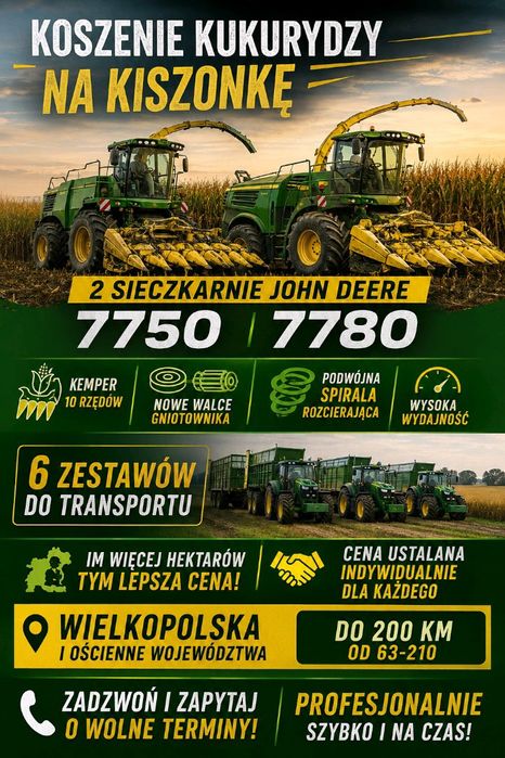 Zbiór kukurydzy  na kiszonkę