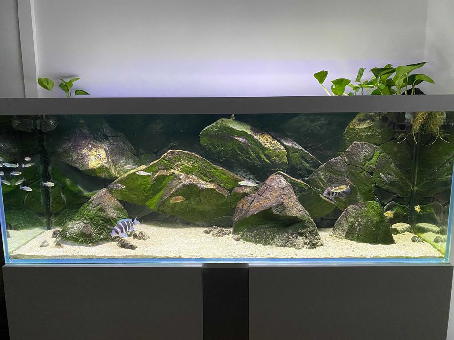 Aquário c/ móvel 150x50x55 + Background 3D Aquadecor + Fluval FX6