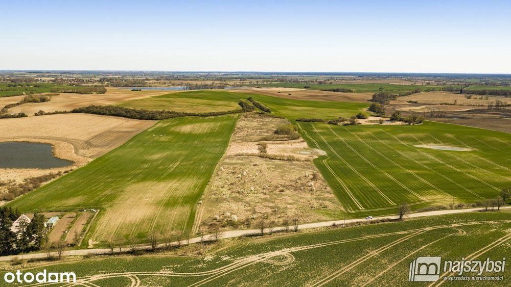 Niesułów-Działka Rolna 6,39 Ha Klasa III