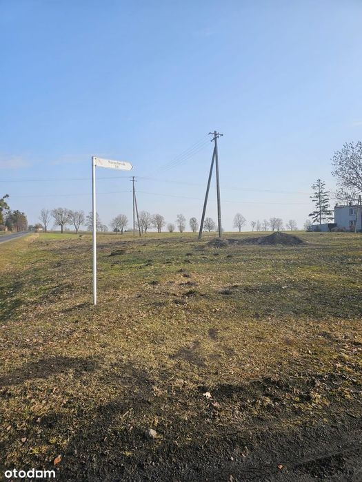 Zdjęcie 8