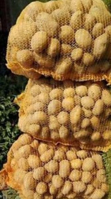 ziemniaki Jurki ignacy siano w kostka jęczmień  ch j