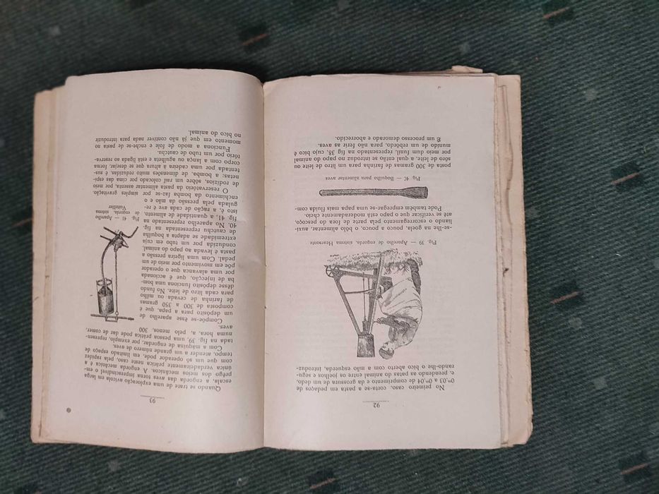 Manual Prático do Galinheiro