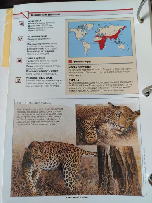 В мире дикой природы