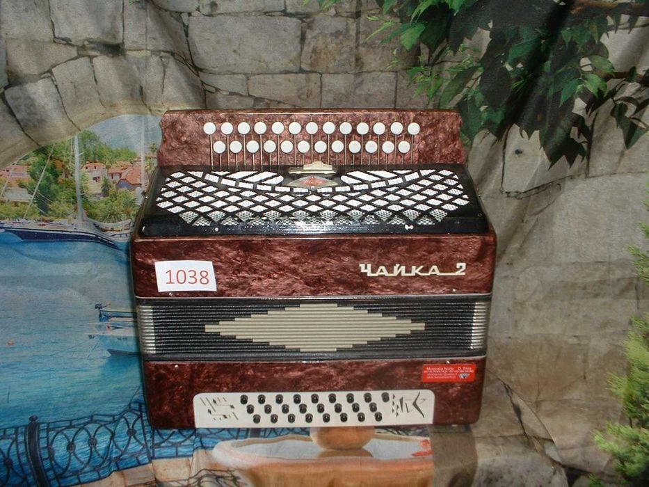 Promoção de Acordeões de concertinas