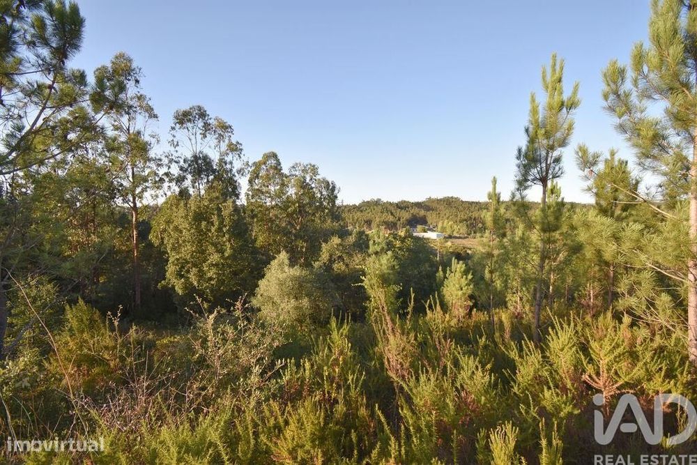 Terreno para construção em Pelariga