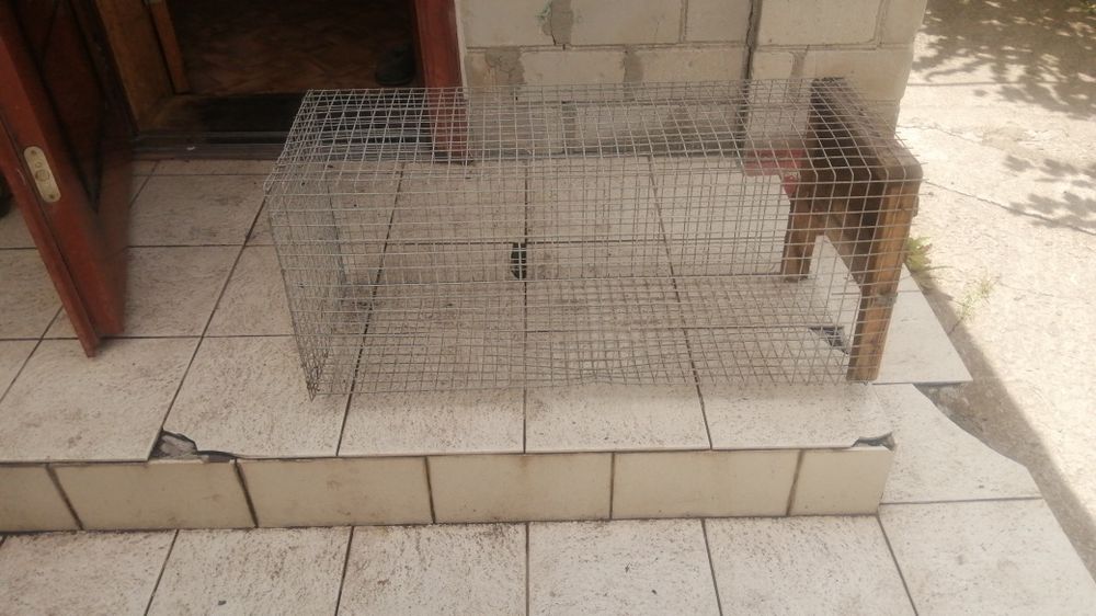 Решетка для штукатурки загород клеток животных