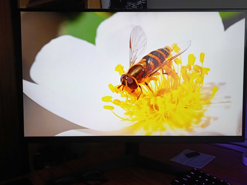 Vendo monitor LG ULTRAGEAR 27 polegadas 165hz