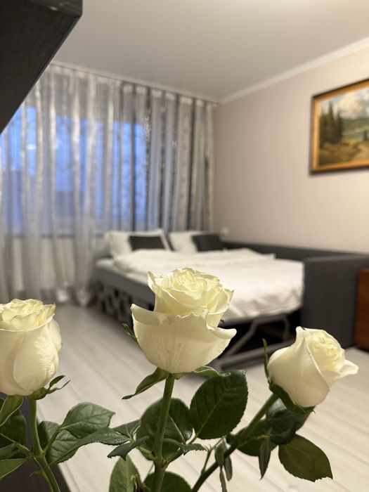 Подобова оренда 1 кім квартира. Центр. Автономне опалення