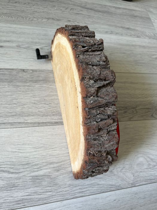 Formikarium dla mrówek + gniazdo