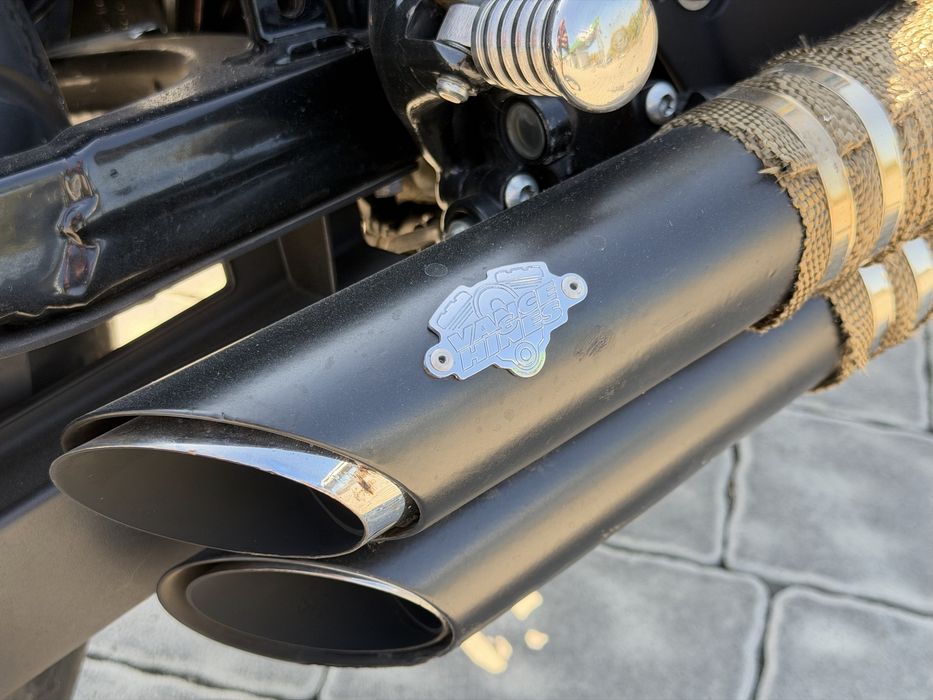 Harley-Davidson (Sportster) iron 883N/1200 Custom
