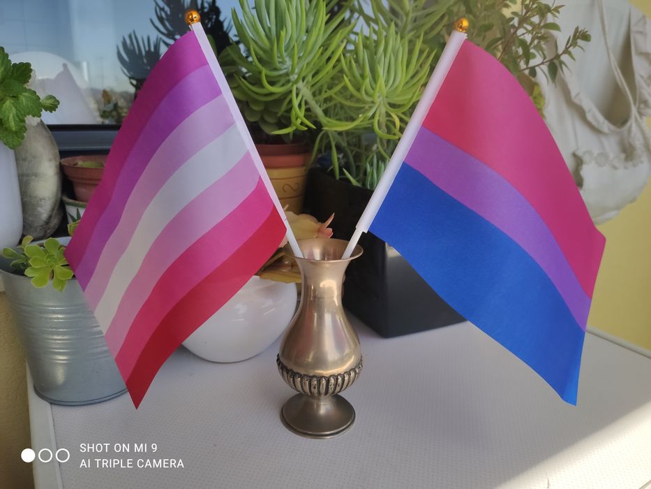 Bandeirinhas LGBT várias