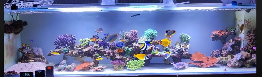 Akwarium morskie 250x60x60 plus sump  łącznie 1200 l