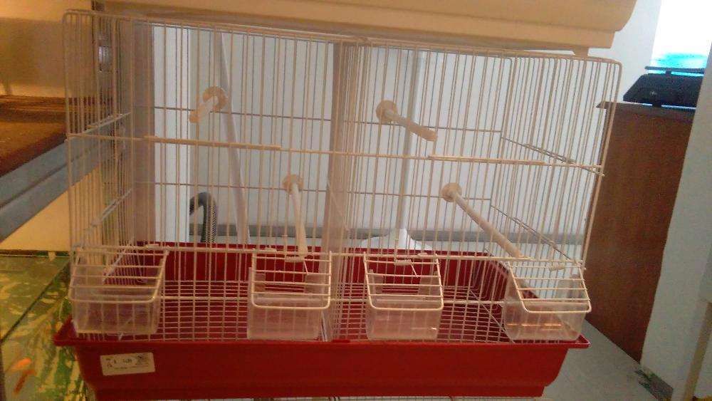 Viveiros duplos novos