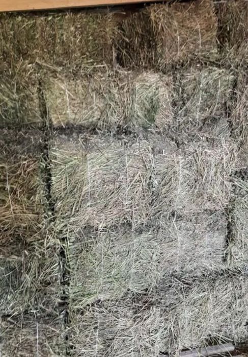 Продам тюки отава!!