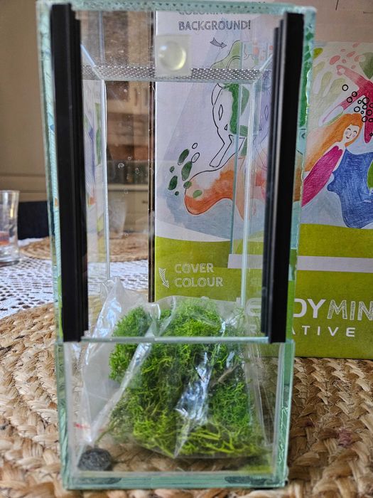 Terrarium dla patyczaka