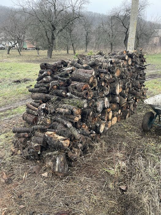 Продам дрова слива, вишня, яблуня