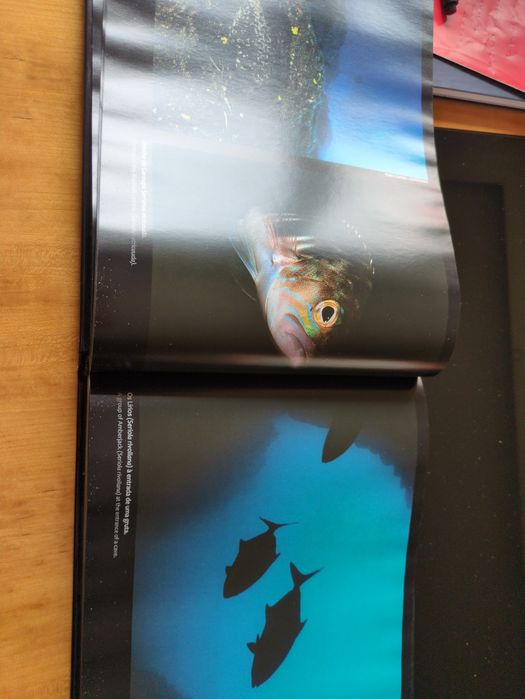 Campanha PEPC MarBis 2011