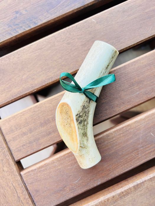 Naturalny gryzak dla psa z poroża jelenia