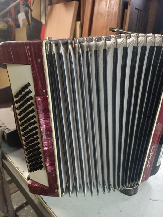 Akordeon Viktoria II
