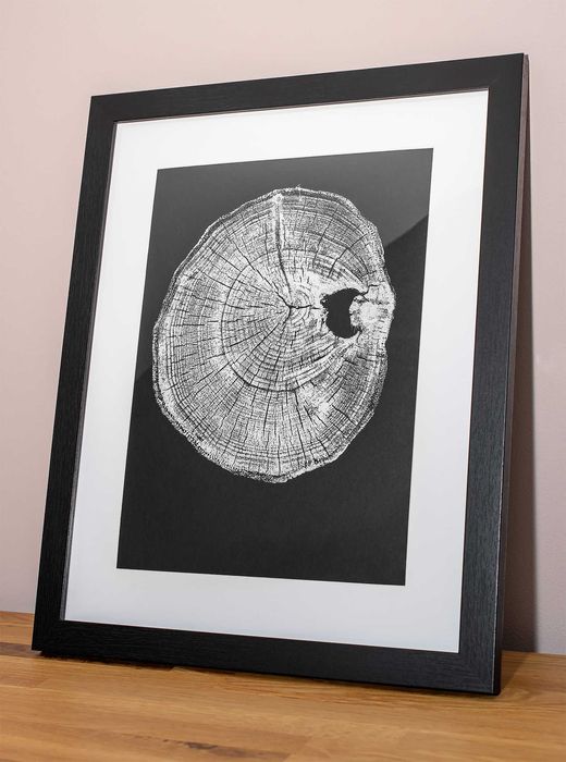 Obraz w ramie BOTANICZNY Plakat PLASTER DREWNA ramka 30 x 40 cm