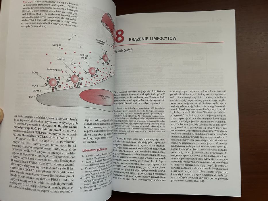 Immunologia Nowe Wydanie Jakub Gołąb