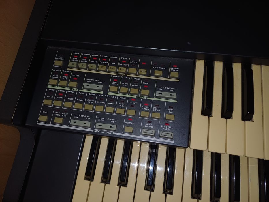 Órgão Viscount RBX-850P