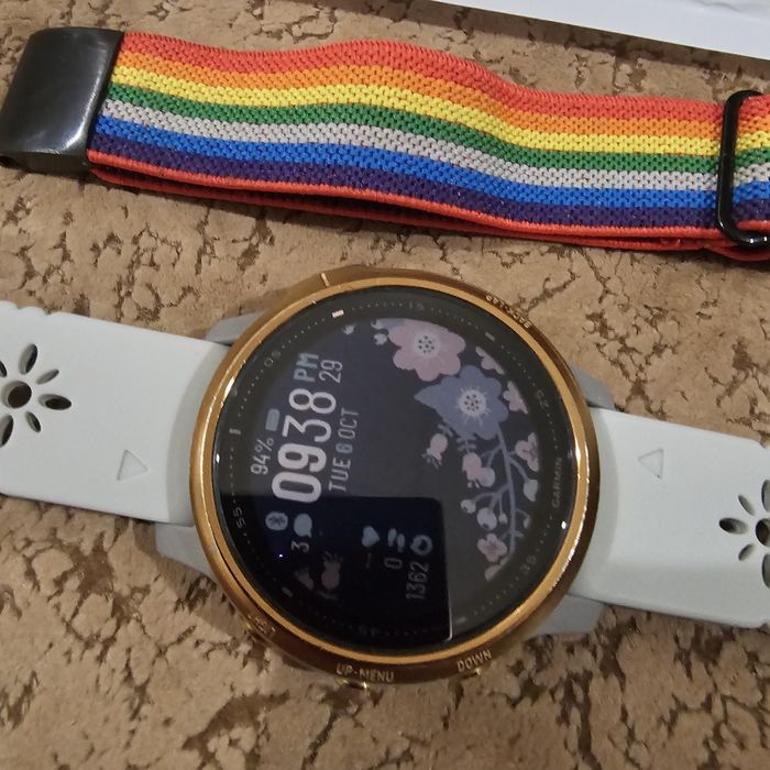 Годинник Garmin Fenix 6s sapphire