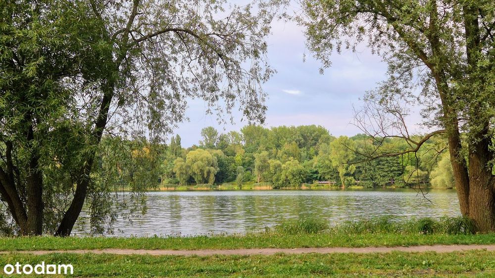 3 pokoje przy Granicznej / Do wprowadzenia się / Panorama Katowic