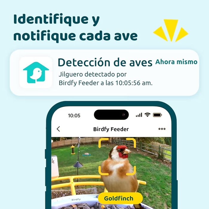 Netvue by Birdfy Alimentador pássaros com câmera, observação de aves c