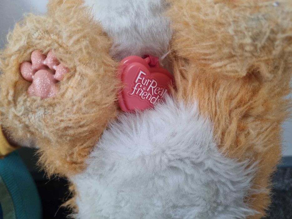 OKAZJA Kot Furreal daisy cat mis chicco tecza