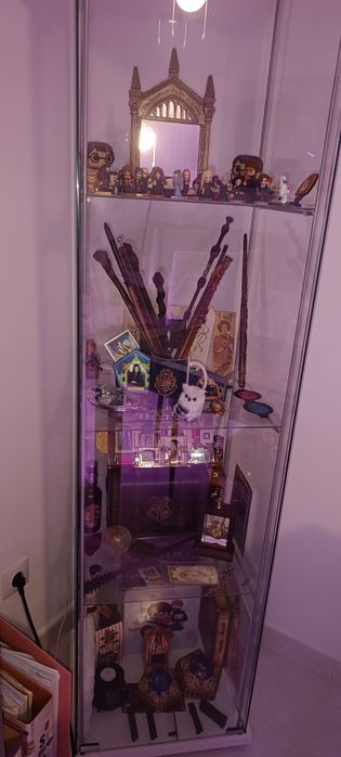 Armário recheado de artigos de coleção – Harry Potter e outros