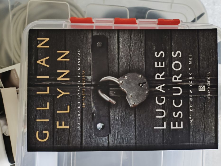 Variedade de livros, entre romances, histórias verídicas e suspense.