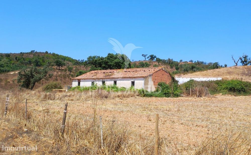 Herdade com 36,9000 ha a 3 Km do Pego das Pias