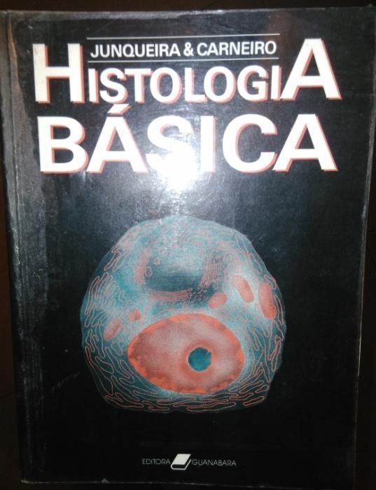 Lote de livros técnicos e auxiliares de estudo