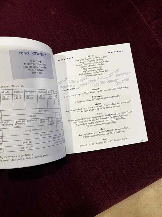 Manual de Inglês “Mr Ratinho” – Novo