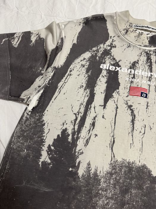 Alexander Wang Cathedral Rock T-shirt s в МАКСИМАЛЬНО хорошому стані