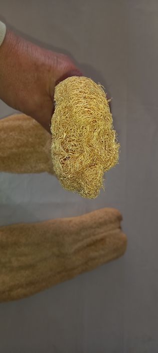 ESPONJAS Naturais do Mar Egeu